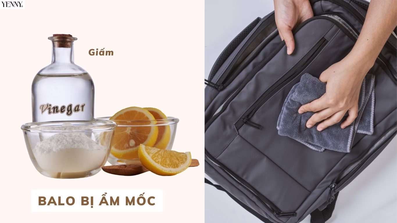 Xử lý vết bẩn balo bị mốc